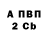 APVP СК КРИС Inna Turcin