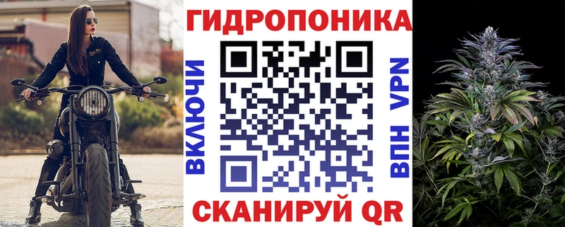 Каннабис Bruce Banner  Купить где  Новопавловск 